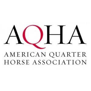 American Quarter Horse Association